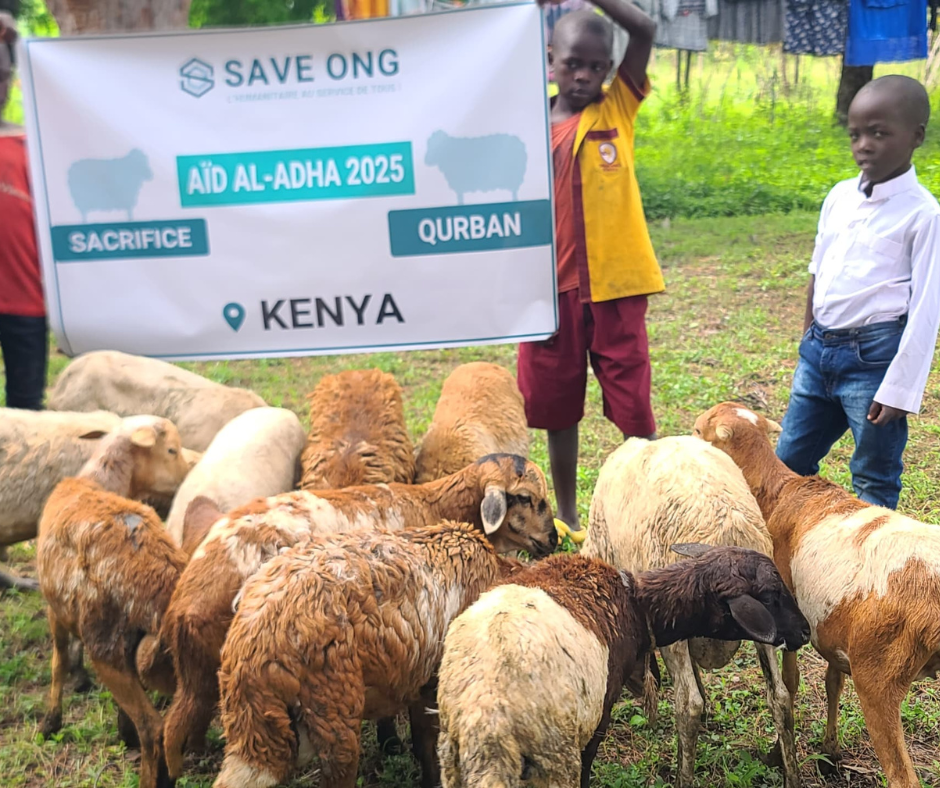 Aid al adha 2025 sacrifice 9